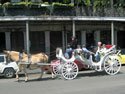 New Orleans Carriage Tours Take a New Orleans Carriage Tour