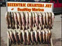 New Orleans Fishing Guides Take a New Orleans Fishing Trip